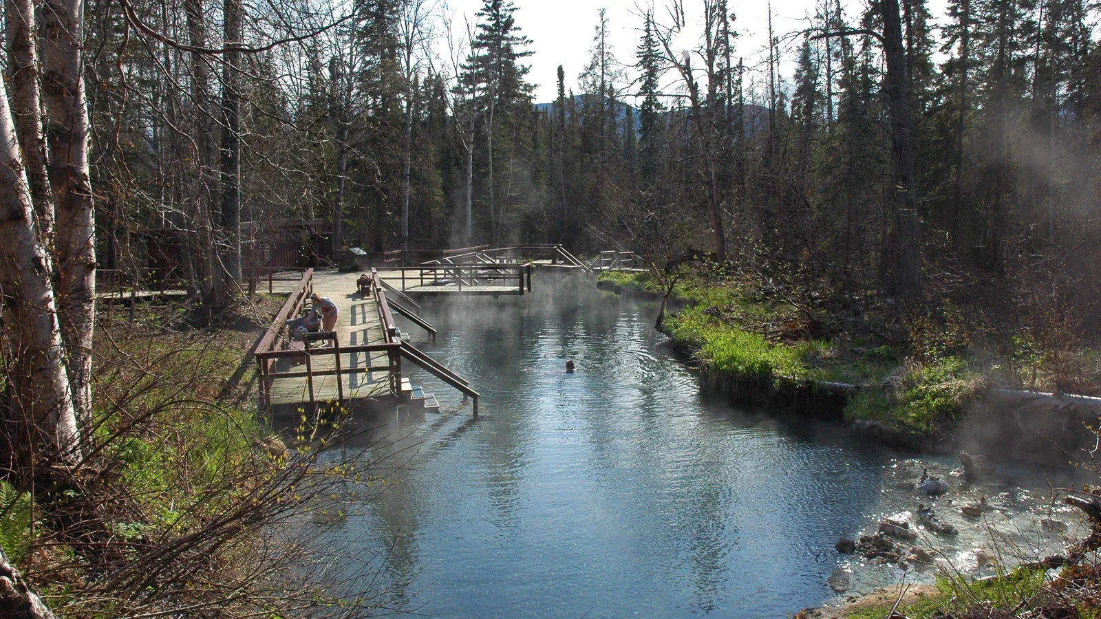 Bassin thermal Alpha Pool à Liard River Hot Springs, parmi les arbres de la forêt boréale